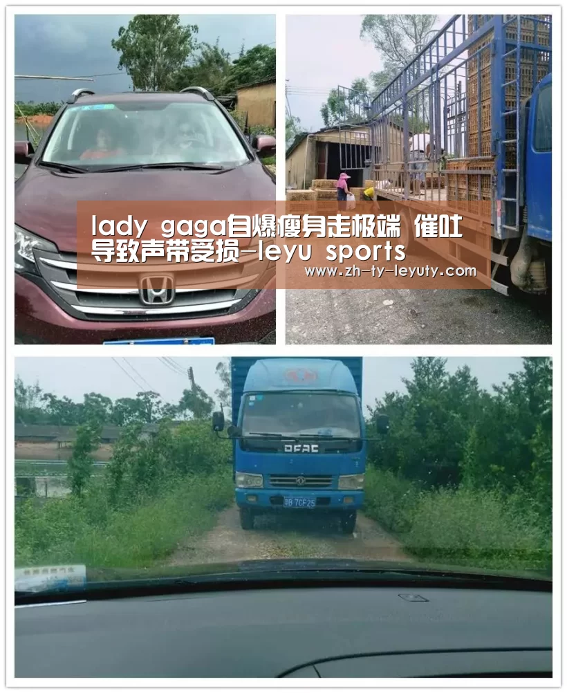 lady gaga自爆瘦身走极端 催吐导致声带受损-leyu sports(图2) leyu sports